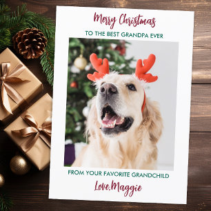 Cartes Pour Fêtes Annuelles Chien grand-père Joyeux Noël Personnalisé Animaux 