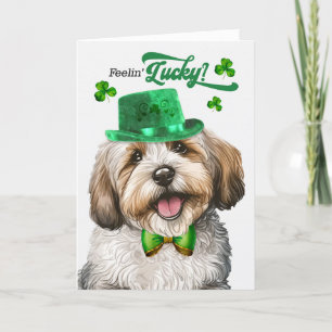 Cartes Pour Fêtes Annuelles Chien Havanais Feelin' Lucky St Patrick's Day