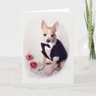 Cartes Pour Fêtes Annuelles Chien hors sol