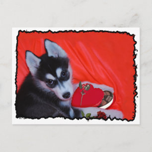 Cartes Pour Fêtes Annuelles Chien Husky de Valentine