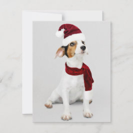 Cartes Pour Fêtes Annuelles Chien Jack Russel portant un chapeau de Père Noël
