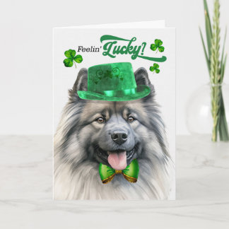 Cartes Pour Fêtes Annuelles Chien Keeshond se sent chanceux à la Saint-Patrick