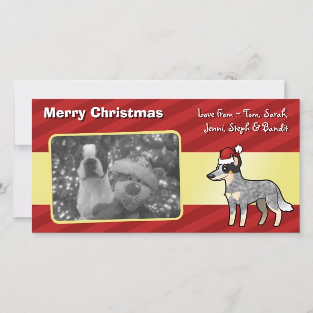 Cartes Pour Fêtes Annuelles Chien/Kelpie australiens de bétail de Noël (Devant)