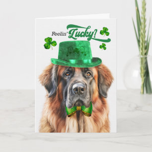 Cartes Pour Fêtes Annuelles Chien Leonberger Se Sentant Chanceux à la Saint-Pa