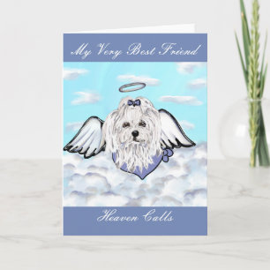 Cartes Pour Fêtes Annuelles Chien maltais