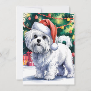 Cartes Pour Fêtes Annuelles Chien maltais blanc avec chapeau de Père Noël