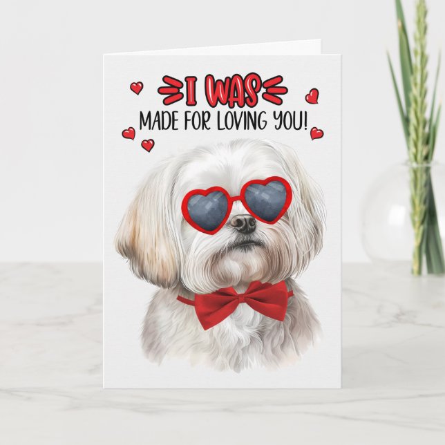 Cartes Pour Fêtes Annuelles Chien maltais mignon fait pour vous aimer Valentin (Devant)