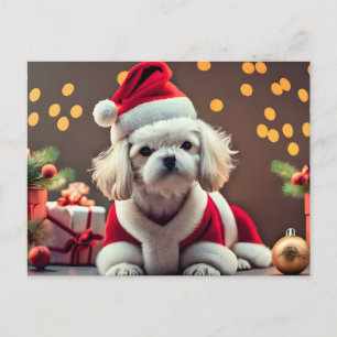 Cartes Pour Fêtes Annuelles Chien maltais Père Noël personnalisé Joyeux Noël