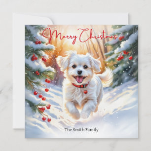 Cartes Pour Fêtes Annuelles Chien Maltais Terrier En hiver Neige Joyeux Noël