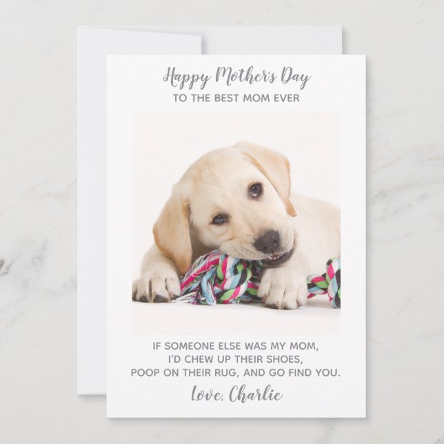 Cartes Pour Fêtes Annuelles Chien Maman Animaux Personalisés Photo Funny Mothe (Devant)