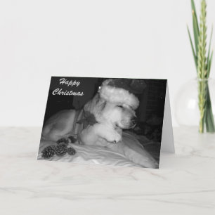 Cartes Pour Fêtes Annuelles Chien mignon d'akita donnant Noël de cône de