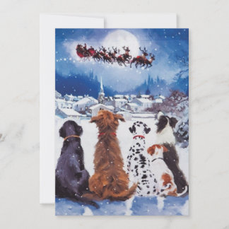 Cartes Pour Fêtes Annuelles Chien, Noël, chiens, chiens de délivrance,