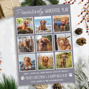 Cartes Pour Fêtes Annuelles Chien Pawsitivement Merveilleux mignon animal de c