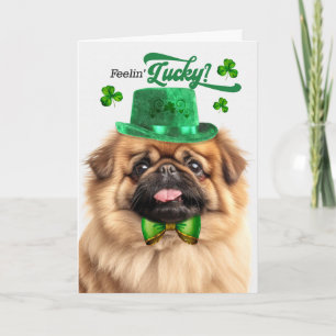 Cartes Pour Fêtes Annuelles Chien Pékinois Sentant Chanceux St Patrick's Day