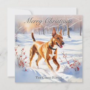 Cartes Pour Fêtes Annuelles Chien Pharaon en Hiver Neige Noël