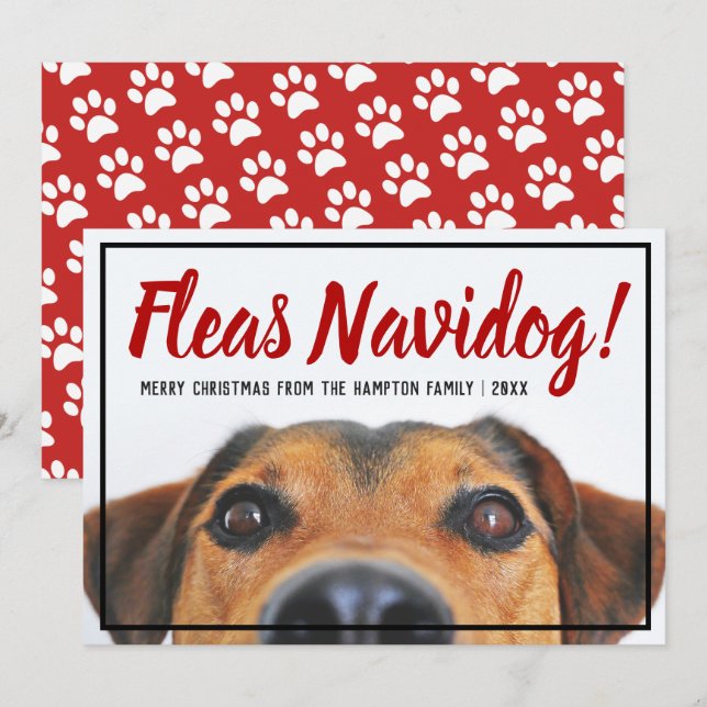 Cartes Pour Fêtes Annuelles Chien Photo Funny Feliz Navidad Christmas Pet (Devant / Derrière)