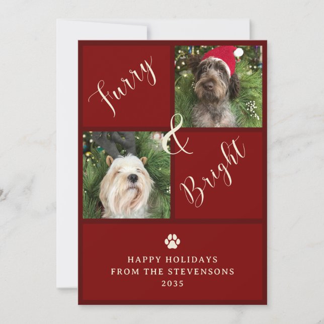 Cartes Pour Fêtes Annuelles Chien Photo Furry Et Rouge 2 (Devant)
