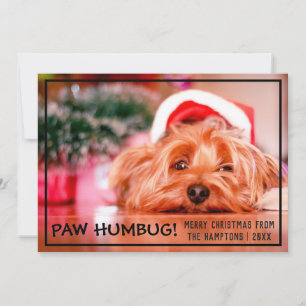 Cartes Pour Fêtes Annuelles Chien Photo Paw Humbug Animal Noël