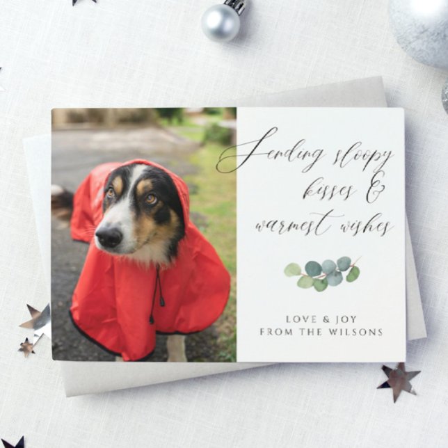 Cartes Pour Fêtes Annuelles Chien photo Sloppy Kisses Script Noël (Créateur téléchargé)