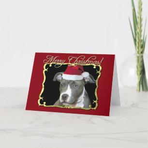 Cartes Pour Fêtes Annuelles Chien pitbull de Noël