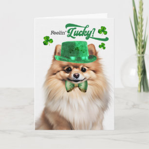 Cartes Pour Fêtes Annuelles Chien Pomeranian se sentant chanceux pour la Saint
