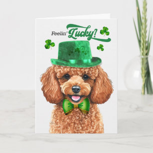 Cartes Pour Fêtes Annuelles Chien Poodle Abricot Sentiment Chanceux Saint-Patr