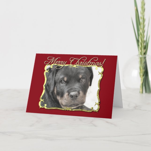 Cartes Pour Fêtes Annuelles Chien Rottweiler (Devant)