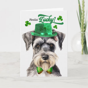 Cartes Pour Fêtes Annuelles Chien Schnauzer Se Sentant Chanceux St Patrick's D