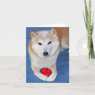 Cartes Pour Fêtes Annuelles Chien Shiba Inu personnalisable avec le coeur roug
