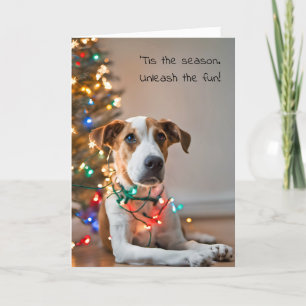 Cartes Pour Fêtes Annuelles Chien Tangé Dans Les Lumières De Vacances