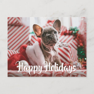 Cartes Pour Fêtes Annuelles Chien-taureaux français de Noël parmi les présents