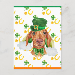 Cartes Pour Fêtes Annuelles Chien teckel à la crème Shamrock St. Patrick