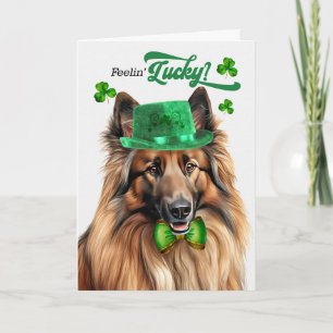 Cartes Pour Fêtes Annuelles Chien Tervuren belge Joyeuse Saint-Patrick