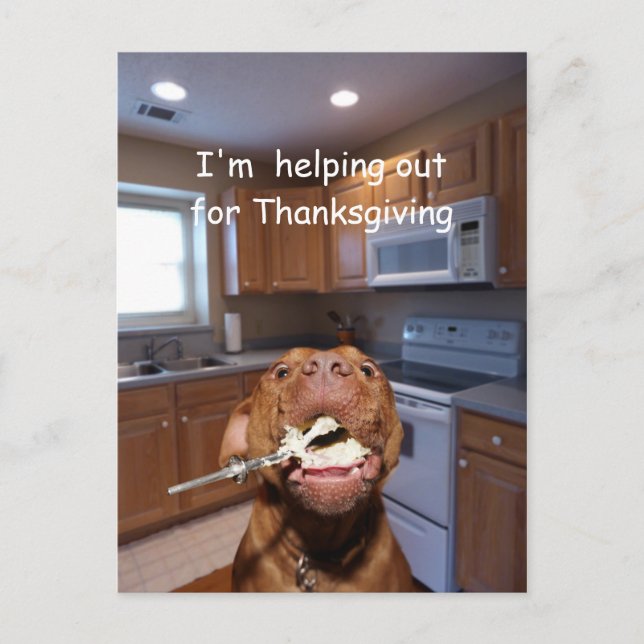 Cartes Pour Fêtes Annuelles Chien utile de thanksgiving (Devant)