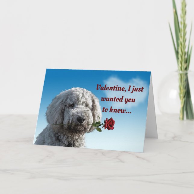 Cartes Pour Fêtes Annuelles Chien Valentin avec Rose (Devant)