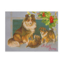 Chiens à Noël