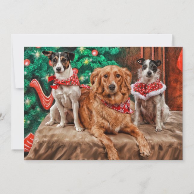 Cartes Pour Fêtes Annuelles Chiens célébrant Noël (Devant)