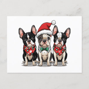 Cartes Pour Fêtes Annuelles Chiens de Noël Boston Terrier