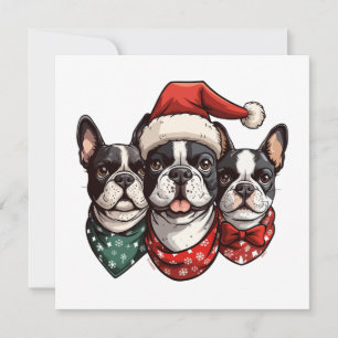 Cartes Pour Fêtes Annuelles Chiens de Noël Boston Terrier