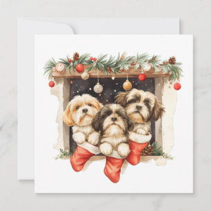 Cartes Pour Fêtes Annuelles Chiens de Noël Chih Tzu