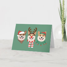 Chiens de Noël Pembroke Welsh Corgi