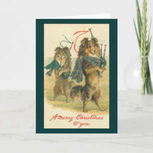 Cartes Pour Fêtes Annuelles Chiens de piqueur écossais de Noël