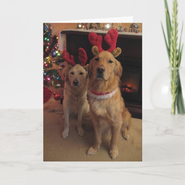 Cartes Pour Fêtes Annuelles Chiens de rennes (Devant)