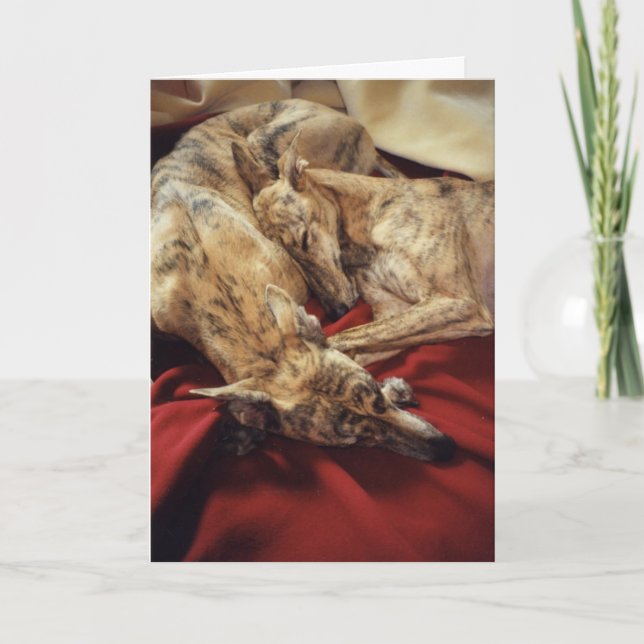 Cartes Pour Fêtes Annuelles Chiens de sommeil (Devant)