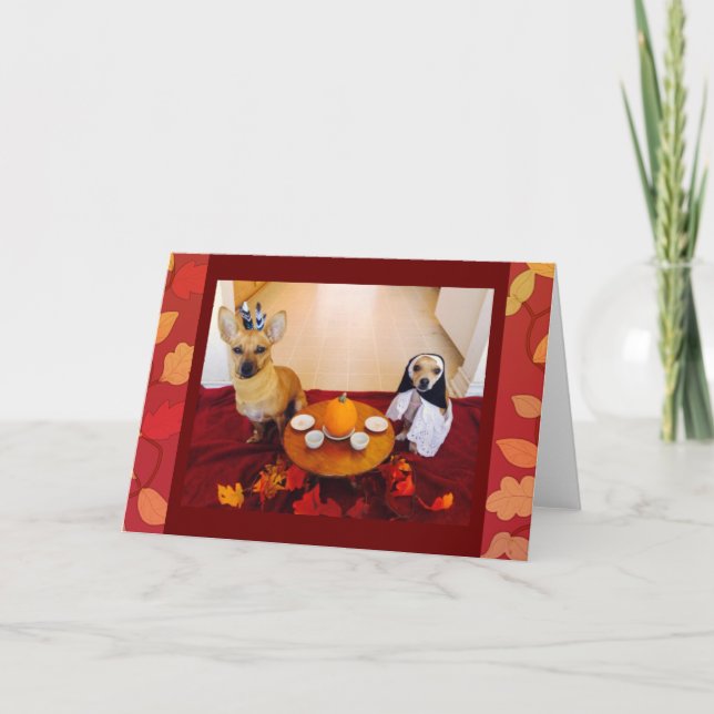 Cartes Pour Fêtes Annuelles Chiens de Thanksgiving (Devant)