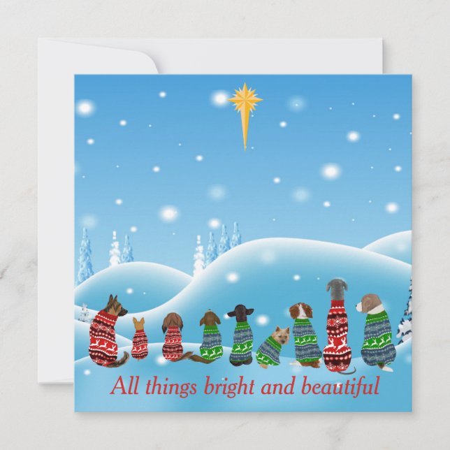 Cartes Pour Fêtes Annuelles Chiens en Sweaters Religieux Étoile Toutes les cho (Devant)
