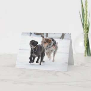 Cartes Pour Fêtes Annuelles Chiens jouant dans la neige Noël
