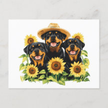 Chiens Rottweiler Entourés De Tournesols