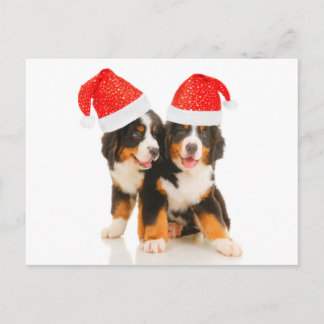 Cartes Pour Fêtes Annuelles Chiens Souhaitent Un Joyeux Noël