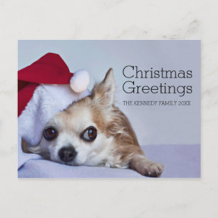 Cartes Pour Fêtes Annuelles Chihuahua à cheveux longs de 6 ans